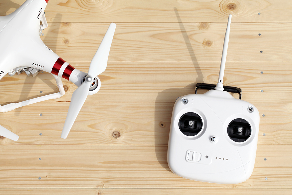 プロポとは何か